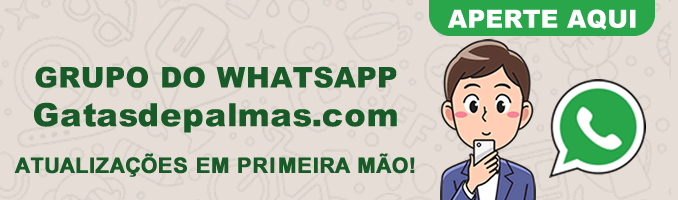 Grupo de whatsapp do site Gatas de Palmas